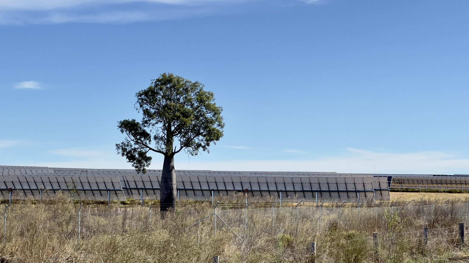 Rows of ground mounted solar panels stretching to the horizon at a large utility scale solar farm in regional New South Wales.